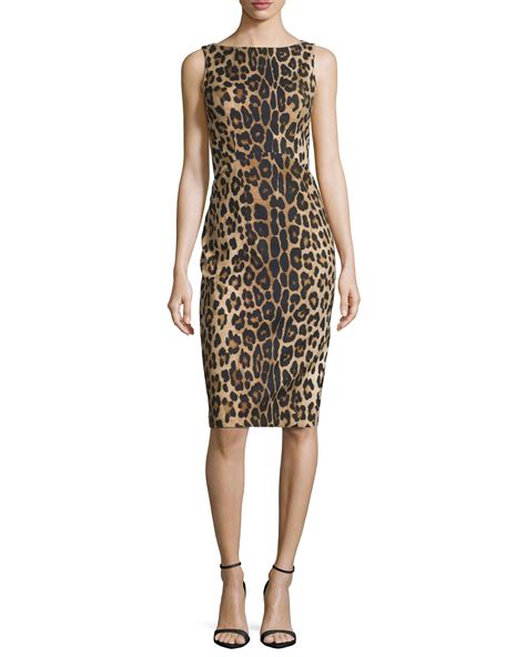 leopard print sheath dress